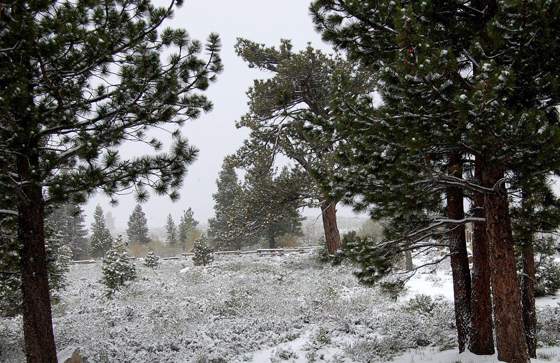 The Mammoth Creek Inn Mammoth Lakes Ngoại thất bức ảnh