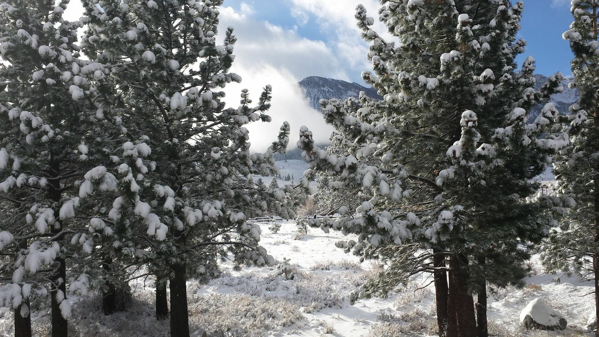 The Mammoth Creek Inn Mammoth Lakes Ngoại thất bức ảnh